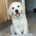 {{ testimonial.name }}'s picture